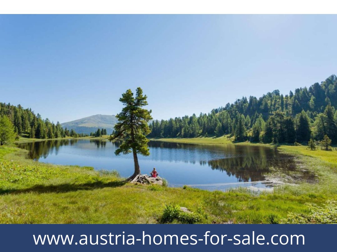 austria-homes-for-sale-stadl an der mur-8862-20251202021825-0044301002.jpg